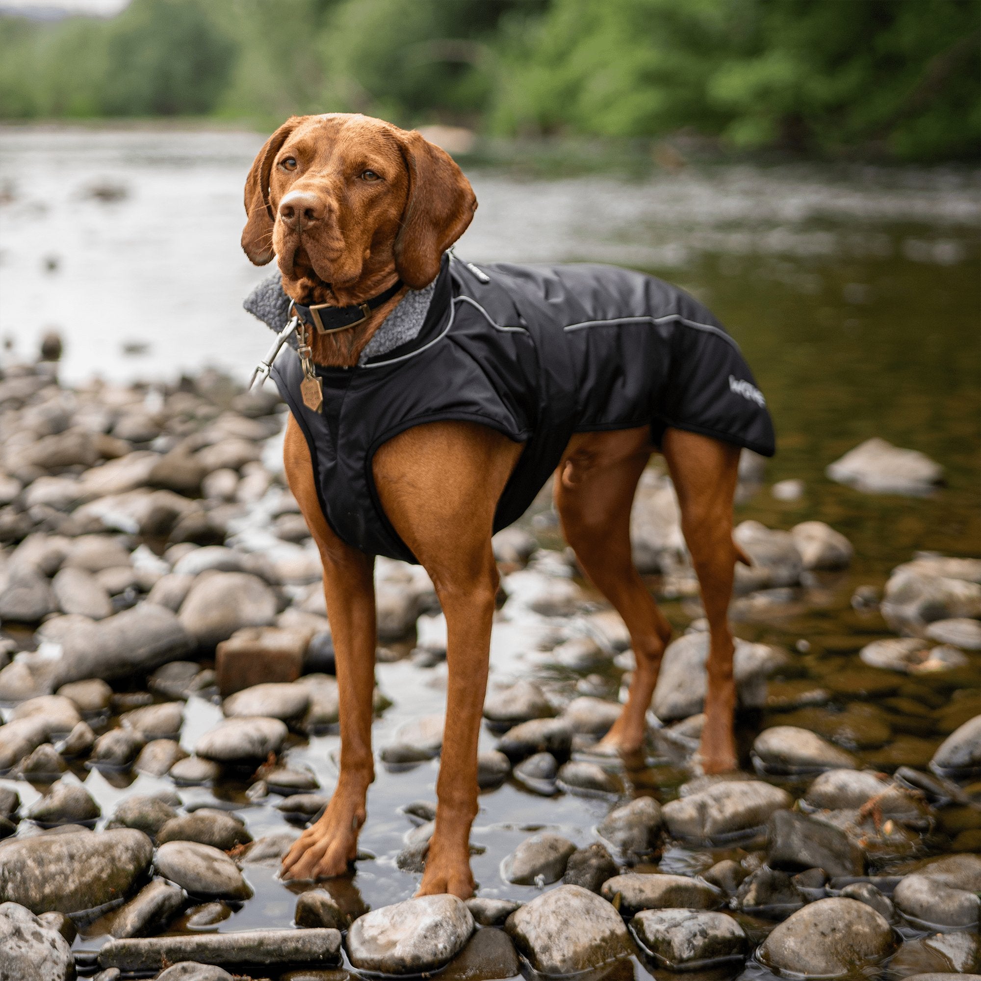 Fleece-Lined Dog Robe - Wave Spas Inflatable, foam Hot Tubs